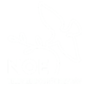 logo TV NOE