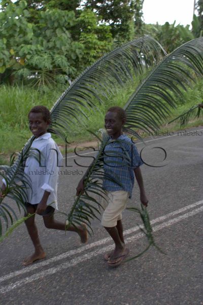 Papue Nová Guinea
