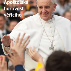 Katecheze papeže Františka