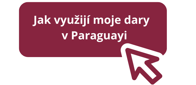 buttony web missio dary Paraguay