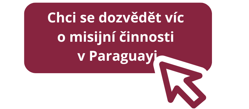 buttony web missio info o Paraguayi