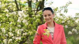 titulní obrázek